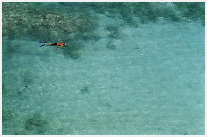 Nassau Snorkeler photo 1