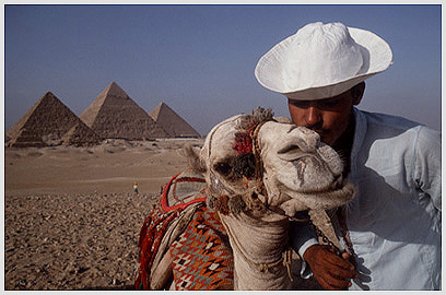 Cairo Camel Pyramids Photo